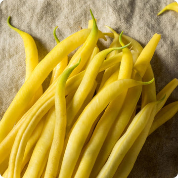 Bean Seeds – Heirloom Yellow
