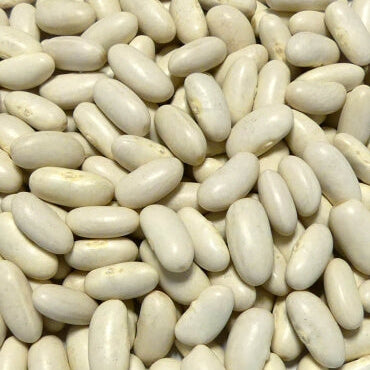 Bean Seeds – Mogettes