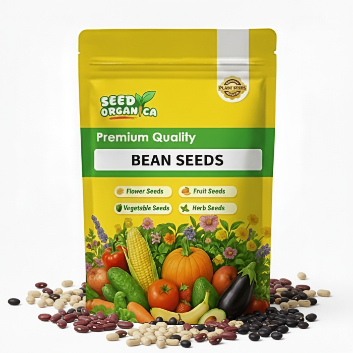 Bean Seeds