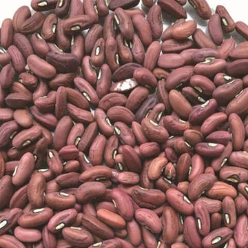 Bean Seeds