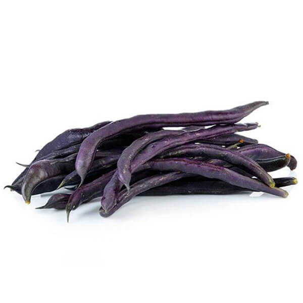 Bean Seeds - Violet