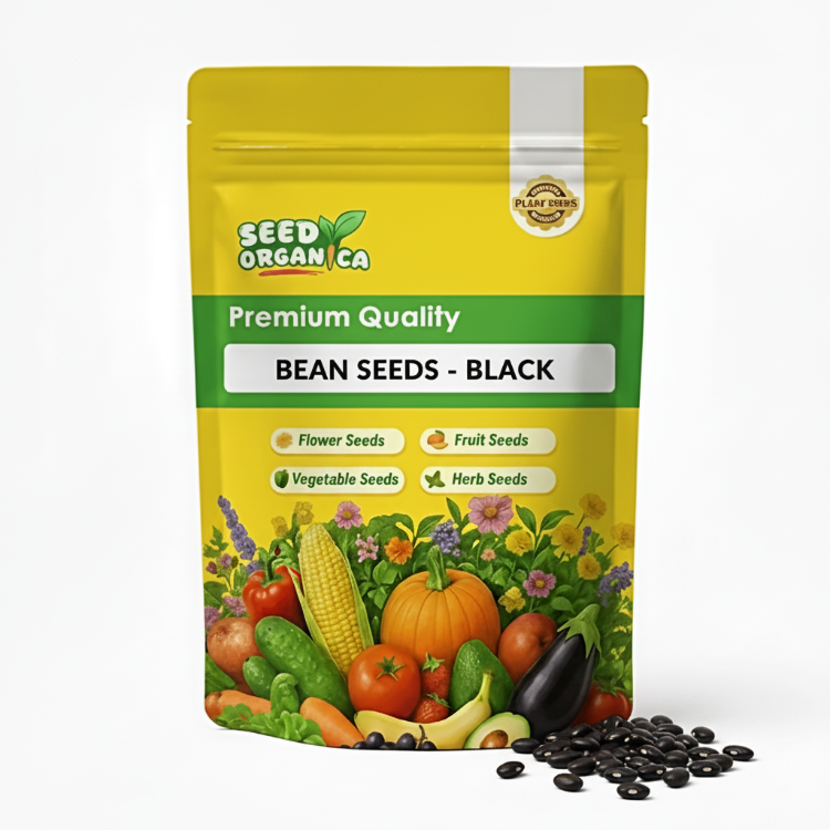 Bean Seeds  - Black