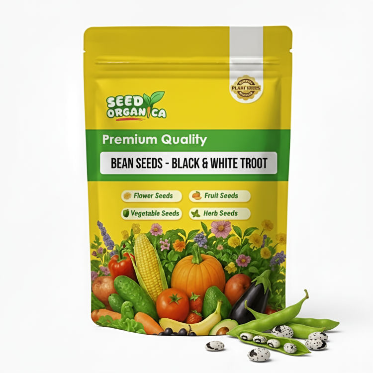 Bean Seeds - Black & White Troot