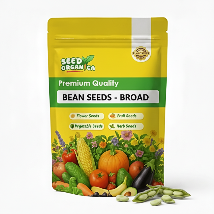 Bean Seeds - Broad