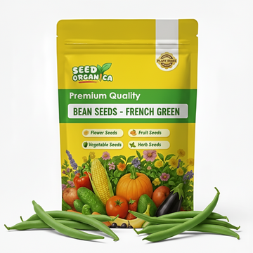 Bean Seeds - French Green