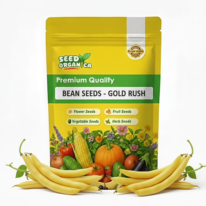 Bean Seeds - Gold Rush