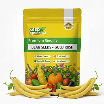 Bean Seeds - Gold Rush