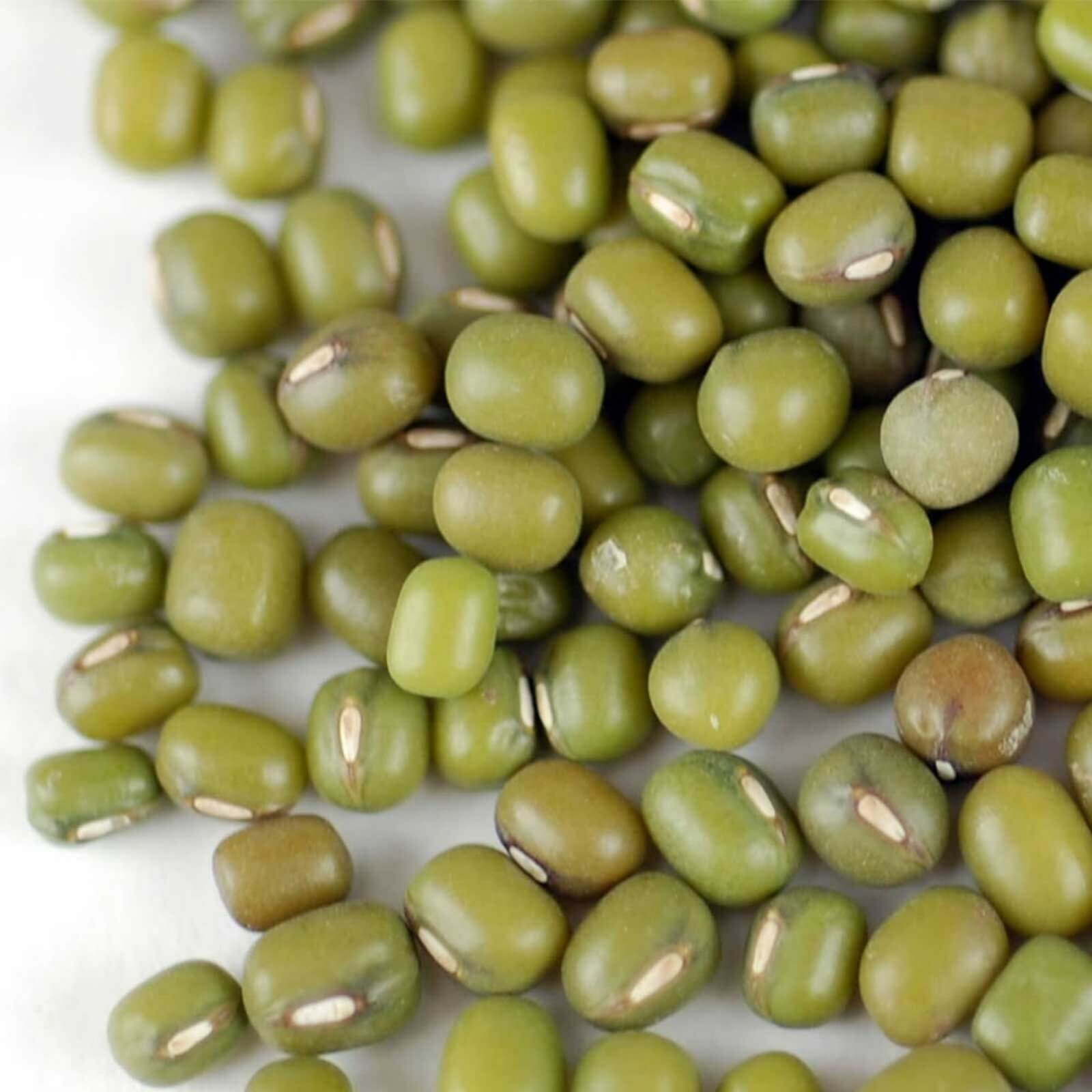 Bean Seeds - Green