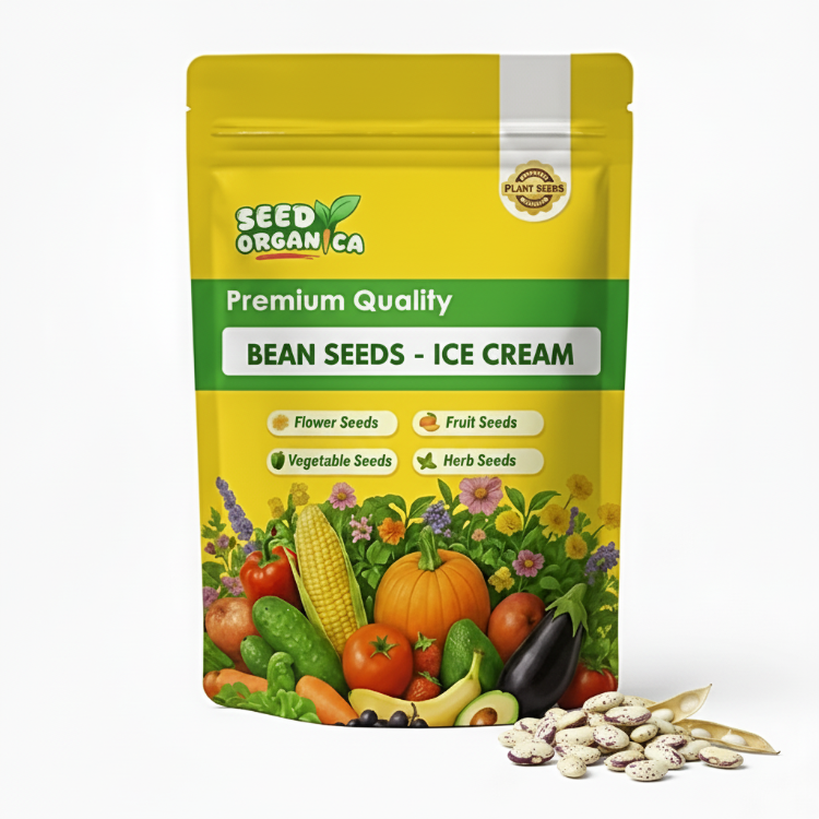 Bean Seeds - Ice Cream