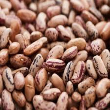 Bean Seeds - Mixed Pinto