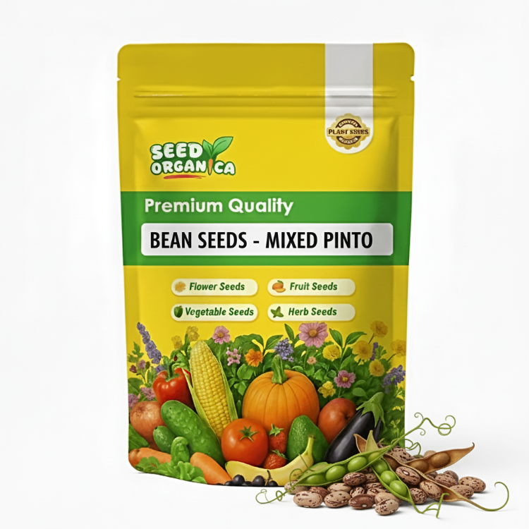 Bean Seeds - Mixed Pinto