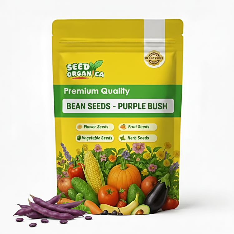 Bean Seeds - Purple Bush