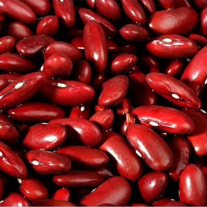  Bean Seeds - Red Kidney