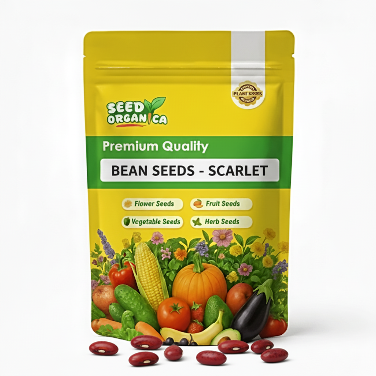 Bean Seeds - Scarlet