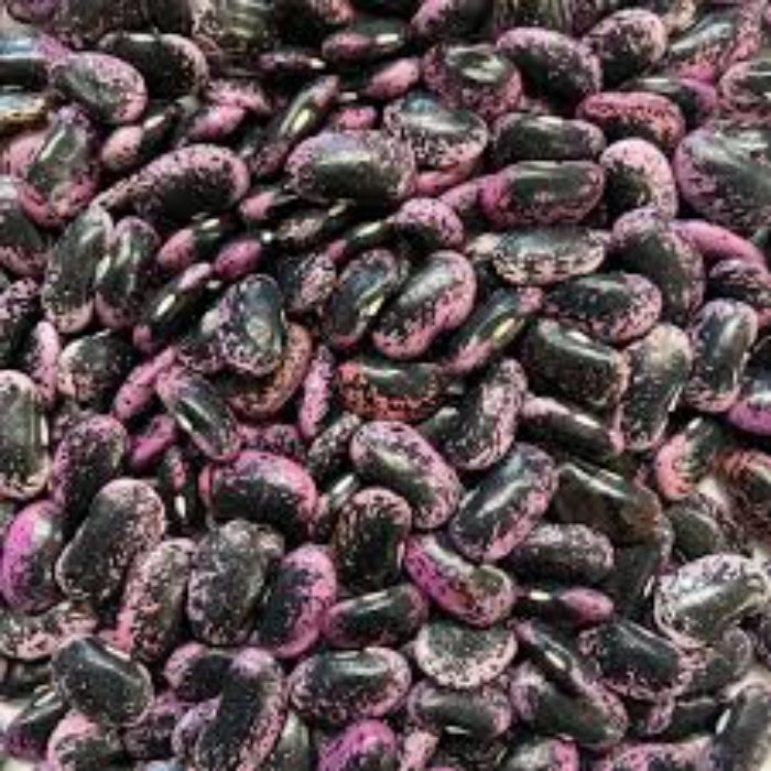  Bean Seeds - Scarlet