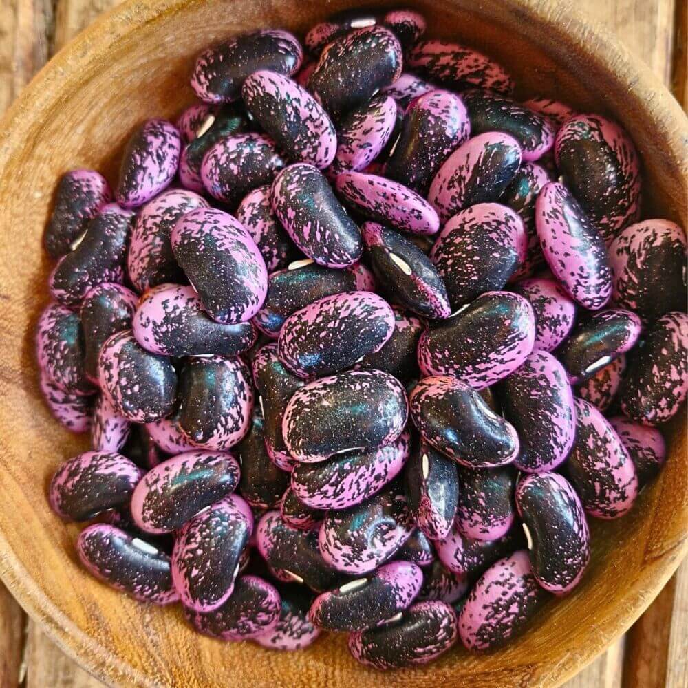  Bean Seeds - Scarlet