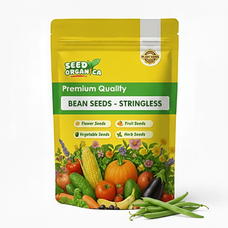 Bean Seeds - Stringless