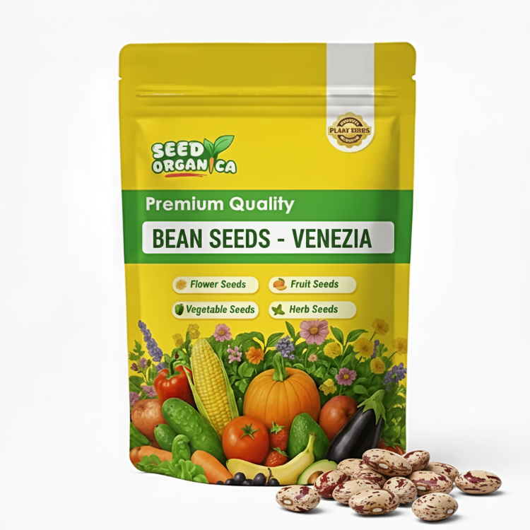 Bean Seeds  - Venezia