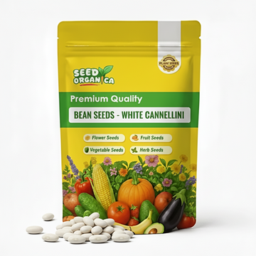 Bean Seeds  - White Cannellini
