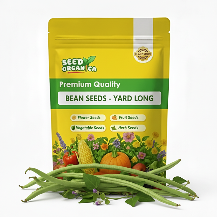 Bean Seeds - Yard Long