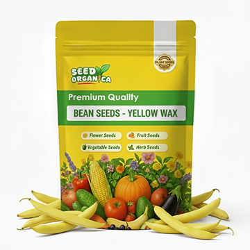 Bean Seeds - Yelllow Wax