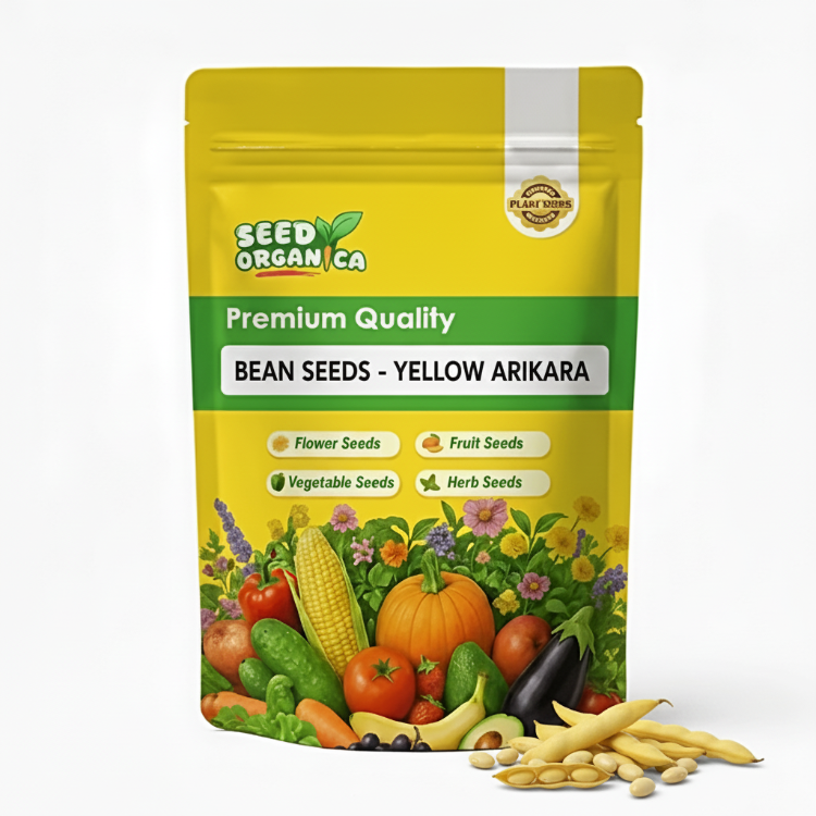 Bean Seeds  - Yellow Arikara