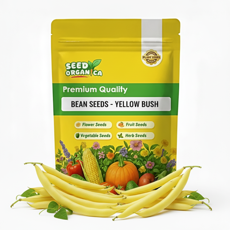 Bean Seeds  - Yellow Bush