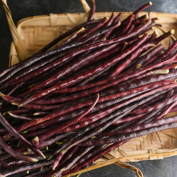 Bean Seeds  - Red Yardlong