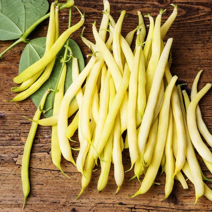 Bean Seeds - Yelllow Wax