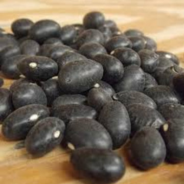 Bean Seeds – Black Coco