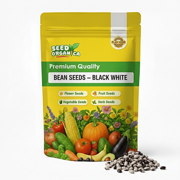 Bean Seeds – Black White