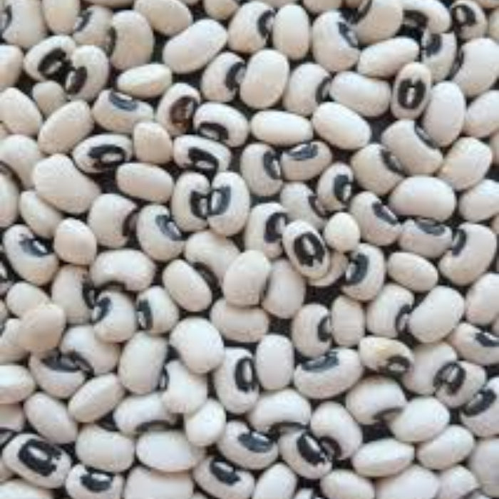 Bean Seeds – Black White