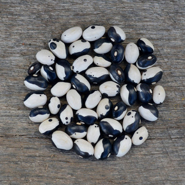 Bean Seeds – Black White Okra