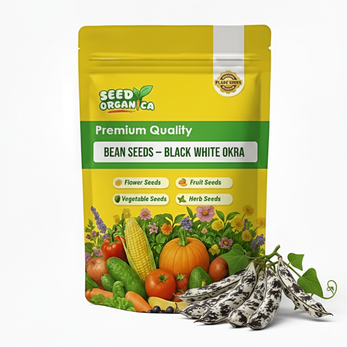 Bean Seeds – Black White Okra