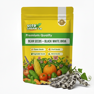 Bean Seeds – Black White Okra