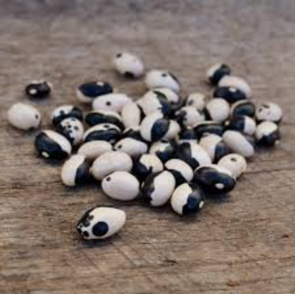 Bean Seeds – Black White Okra