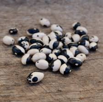 Bean Seeds – Black White Okra