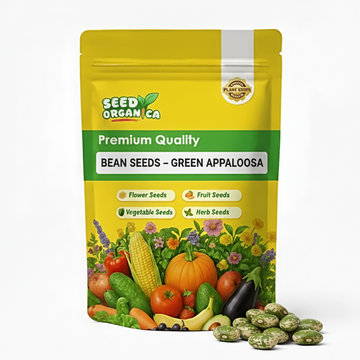 Bean Seeds – Green Appaloosa