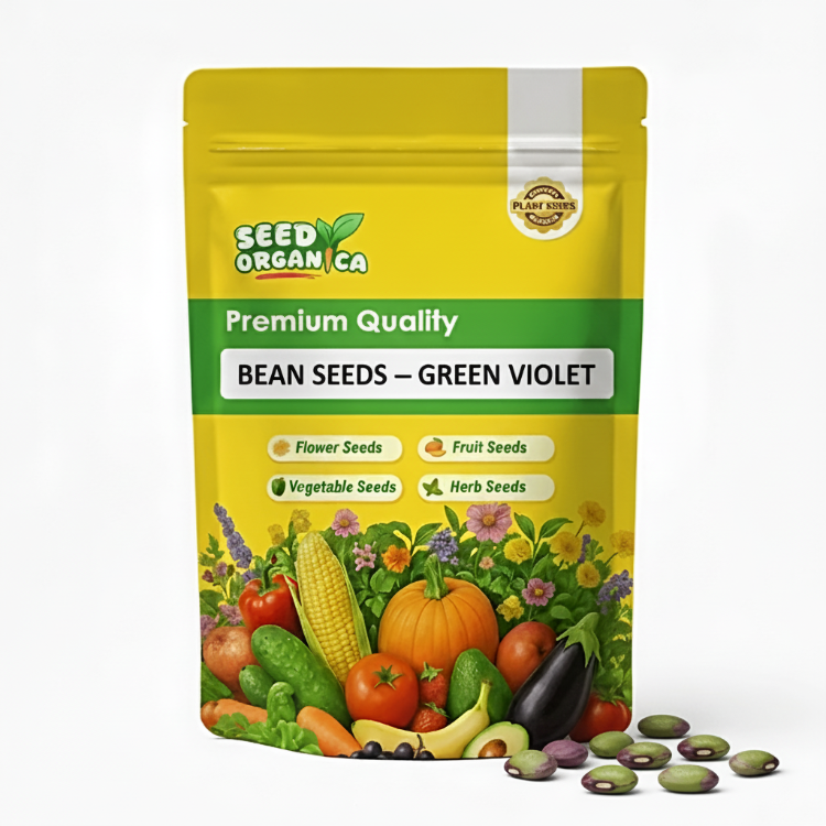 Bean Seeds – Green Violet
