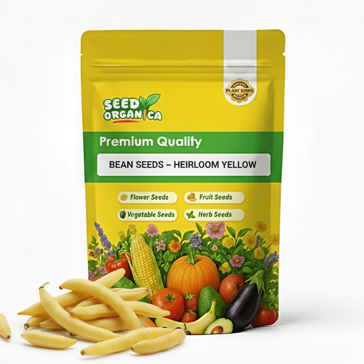 Bean Seeds – Heirloom Yellow