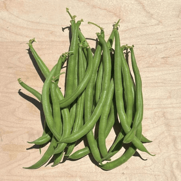 Bean Seeds – Jade