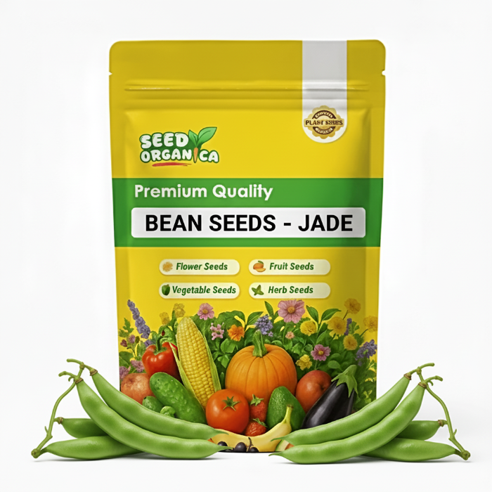 Bean Seeds – Jade