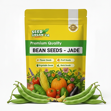 Bean Seeds – Jade