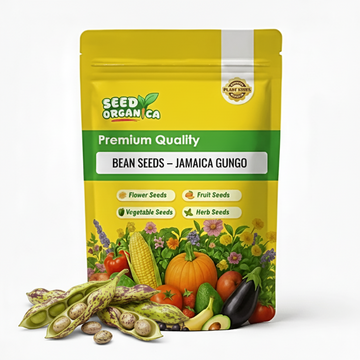 Bean Seeds – Jamaica Gungo