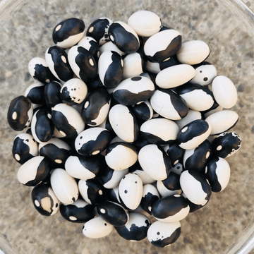 Bean Seeds – Orca