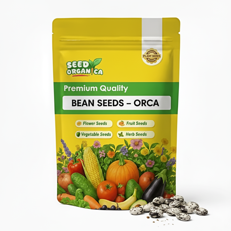Bean Seeds – Orca