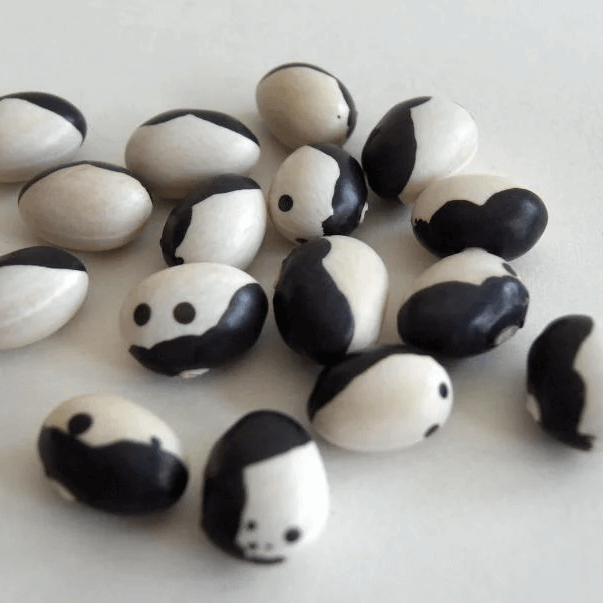 Bean Seeds – Orca