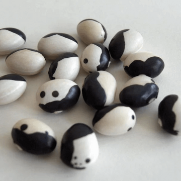 Bean Seeds – Orca