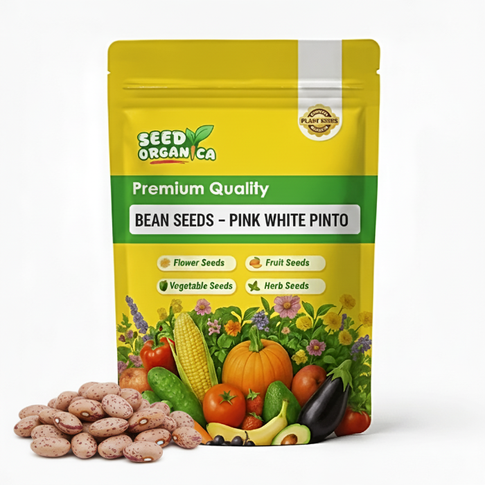 Bean Seeds – Pink White Pinto