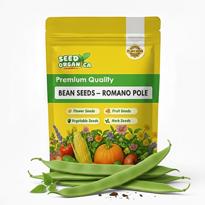Bean Seeds – Romano Pole